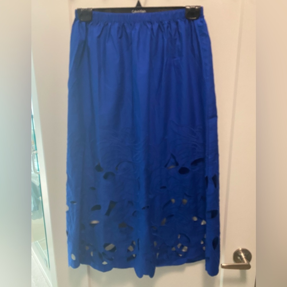 H&M Embroidered Skirt